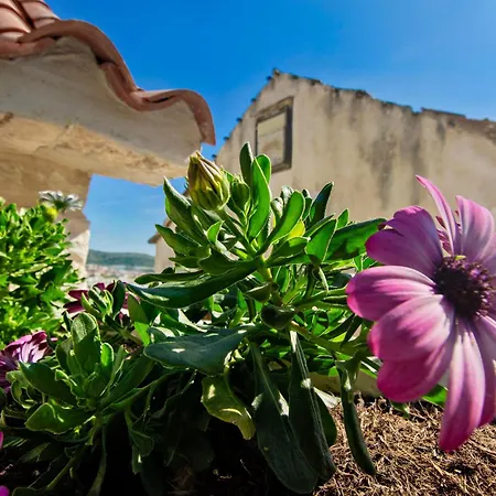 Σπίτι διακοπών House Marijeta And Tonka