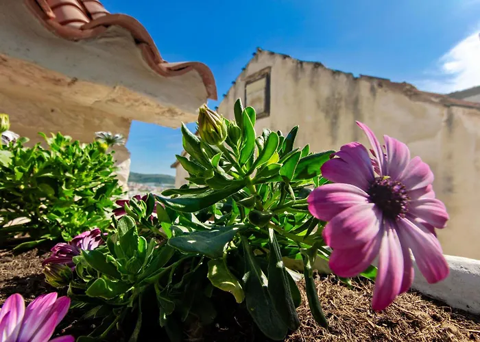 Hébergement de vacances House Marijeta And Tonka